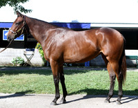 Hip45KS9-12KLD