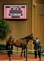Hip45KS9-12KLD93