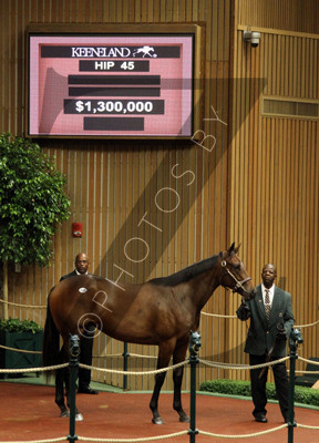 Hip45KS9-12KLD93