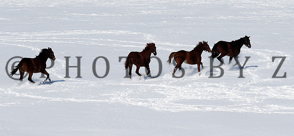 SnowScenics2-15Z14
