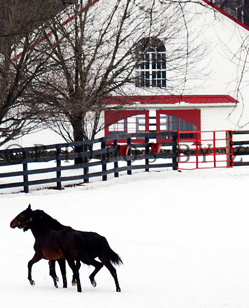 SnowScenics2-15Z21