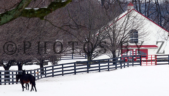 SnowScenics2-15Z22