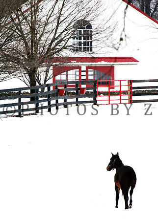 SnowScenics2-15Z20