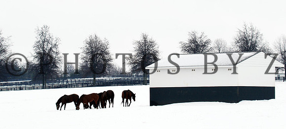 SnowScenics2-15Z18