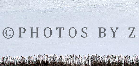 SnowScenics2-15Z6