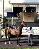 Hip6FTG3-17FTK06