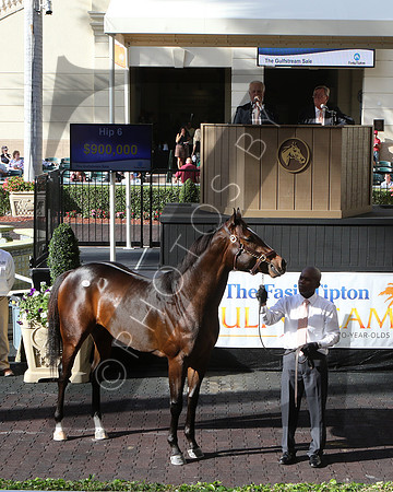 Hip6FTG3-17FTK06