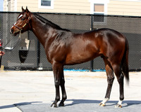 Hip6FTG3-17FTK14