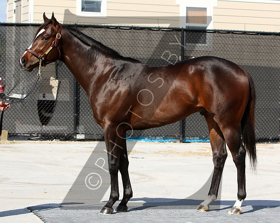 Hip6FTG3-17FTK14