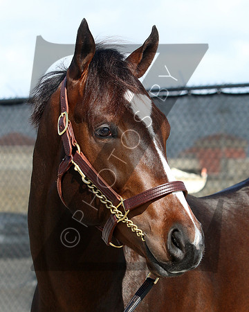 Hip6FTG3-17FTK23