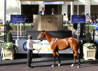 Hip4FTG3-17FTK48