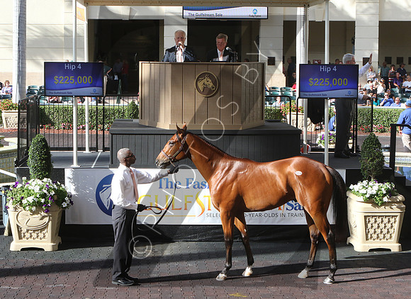 Hip4FTG3-17FTK48