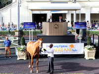 Hip3FTG3-17FTK829