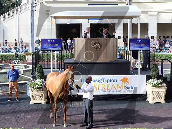 Hip3FTG3-17FTK829