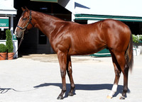 Hip72KS9-12KLD77