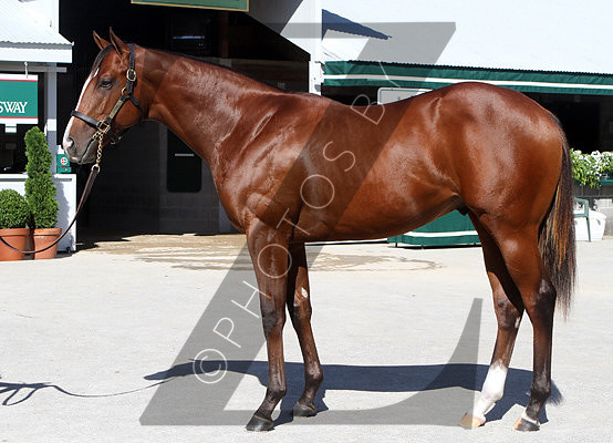 Hip72KS9-12KLD77