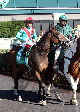 Summer Soiree,  the 2012 First Lady , 2012 Keeneland Fall Meet