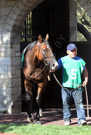 Summer Soiree,  the 2012 First Lady , 2012 Keeneland Fall Meet