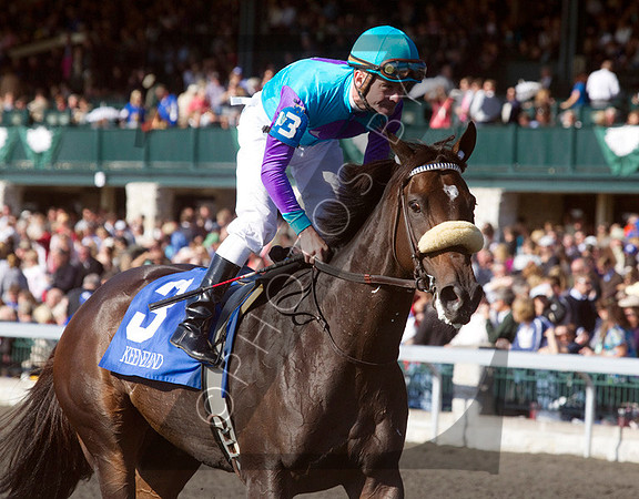 Brilliant Future,  the 2012 First Lady , 2012 Keeneland Fall Meet