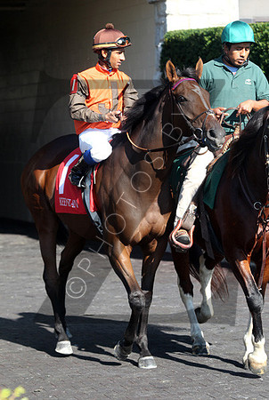 Snowfall,  the 2012 First Lady , 2012 Keeneland Fall Meet