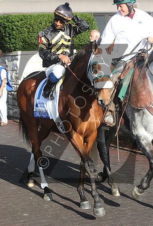 Skyring, racing scenics,  2012  Shadwell Turf Mile , 2012 Keeneland Fall Meet