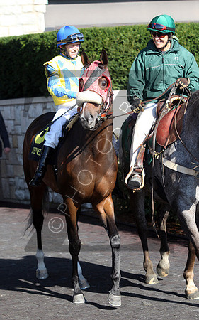 Daisy Devine,  the 2012 First Lady , 2012 Keeneland Fall Meet