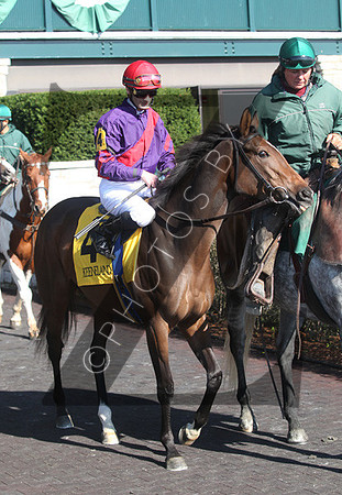 Hungry Island,  the 2012 First Lady , 2012 Keeneland Fall Meet