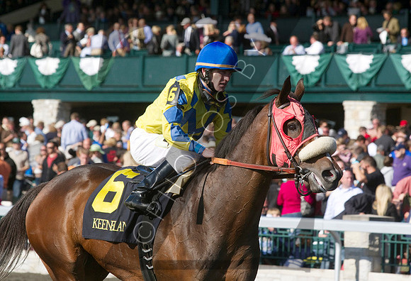 Daisy Devine,  the 2012 First Lady , 2012 Keeneland Fall Meet