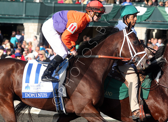 Dominus,  2012  Shadwell Turf Mile , 2012 Keeneland Fall Meet