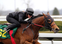 2013 Keeneland April Sale Breeze Show