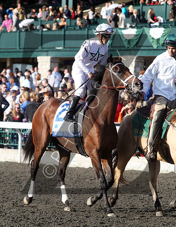 Doubles Partner,  2012  Shadwell Turf Mile , 2012 Keeneland Fall Meet