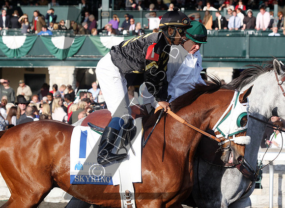 Skyring, racing scenics,  2012  Shadwell Turf Mile , 2012 Keeneland Fall Meet