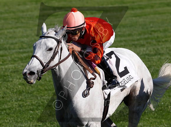 Tapitsfly with Jose Lezcano up wins the 2012 First Ladyfor trainer Dale Romans and owner Frank L Jones, 2012 Keeneland Fall Meet