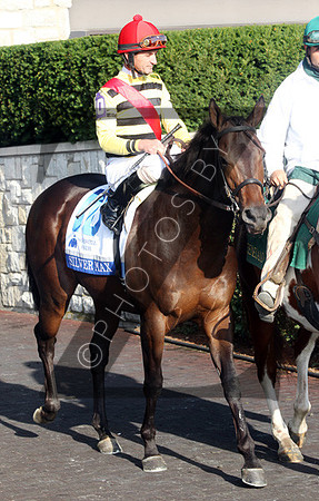 Silver Max,  2012  Shadwell Turf Mile , 2012 Keeneland Fall Meet