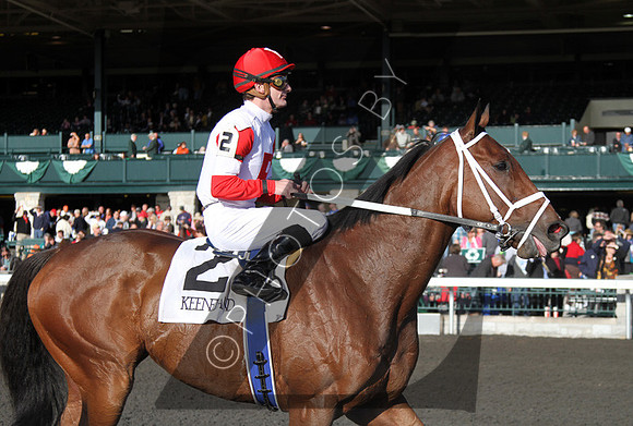 Kindergarden Kid with Julien Leparoux up wins the 2012 Sycamore from #3 Ioya Bigtime for trainer Mike Maker and owner Ken Ramsey., 2012  2012 Fall Meet