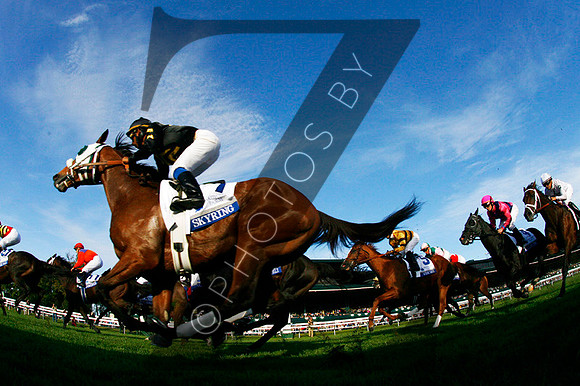 Skyring, racing scenics,  2012  Shadwell Turf Mile , 2012 Keeneland Fall Meet