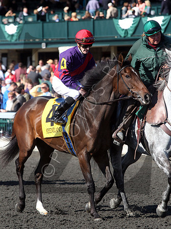 Hungry Island,  the 2012 First Lady , 2012 Keeneland Fall Meet