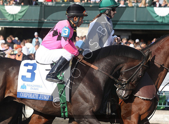 Corporate Jungle,  2012  Shadwell Turf Mile , 2012 Keeneland Fall Meet