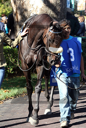Brilliant Future,  the 2012 First Lady , 2012 Keeneland Fall Meet