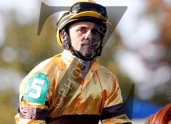 Wise Dan with Jose Lezcano up wins the 2012  Shadwell Turf Mile for trainer Chales LoPresti  and owner Morton Fink, 2012 Keeneland Fall Meet