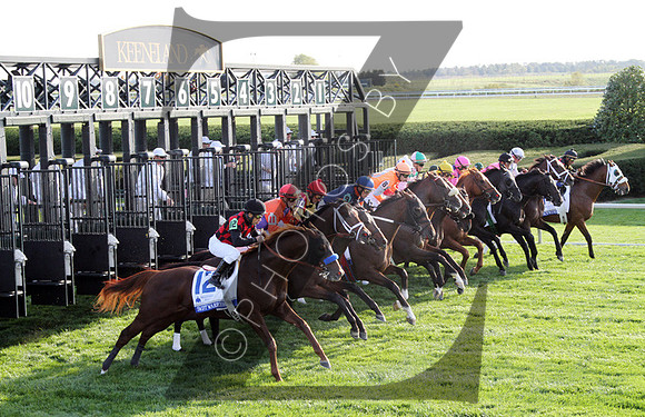 Racing scenics, Starting Gate,  2012  Shadwell Turf Mile , 2012 Keeneland Fall Meet