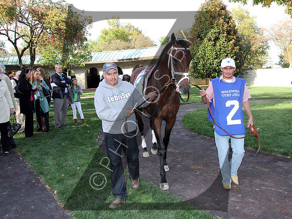Doubles Partner,  2012  Shadwell Turf Mile , 2012 Keeneland Fall Meet