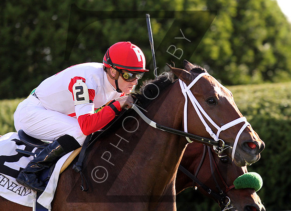 Kindergarden Kid with Julien Leparoux up wins the 2012 Sycamore from #3 Ioya Bigtime for trainer Mike Maker and owner Ken Ramsey., 2012  2012 Fall Meet