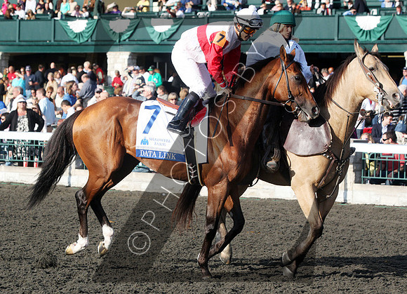 Data Link,  2012  Shadwell Turf Mile , 2012 Keeneland Fall Meet