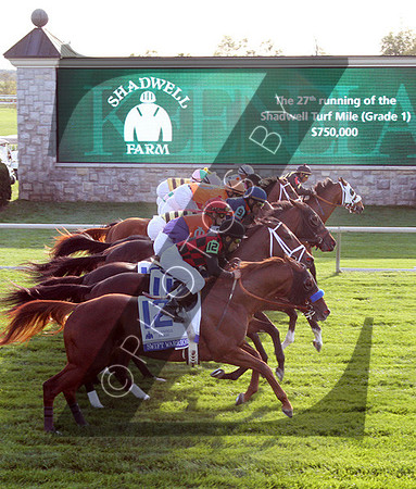 Racing scenics, Starting Gate,  2012  Shadwell Turf Mile , 2012 Keeneland Fall Meet