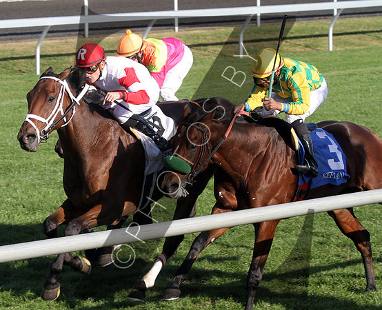 Kindergarden Kid with Julien Leparoux up wins the 2012 Sycamore from #3 Ioya Bigtime for trainer Mike Maker and owner Ken Ramsey., 2012  2012 Fall Meet