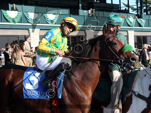Ioya Bigtime, 2012 Sycamore,  2012 Fall Meet