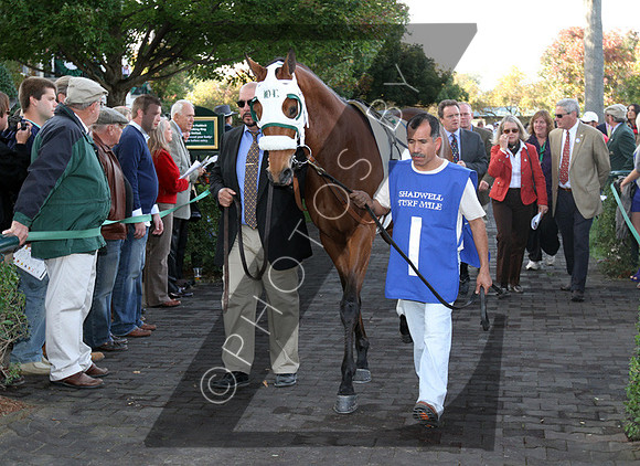 Skyring, racing scenics,  2012  Shadwell Turf Mile , 2012 Keeneland Fall Meet