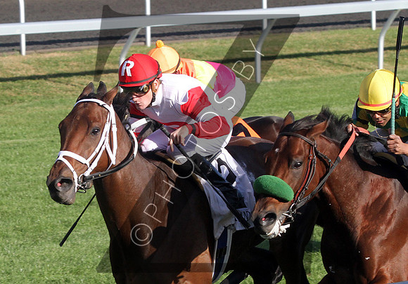 Kindergarden Kid with Julien Leparoux up wins the 2012 Sycamore from #3 Ioya Bigtime for trainer Mike Maker and owner Ken Ramsey., 2012  2012 Fall Meet