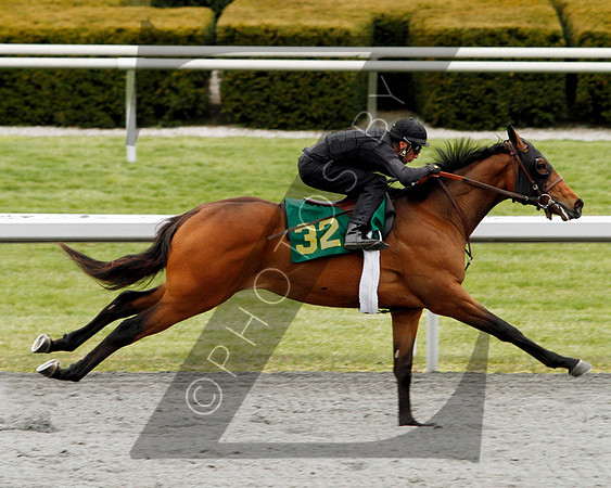 Hip32KS4-13KLD25